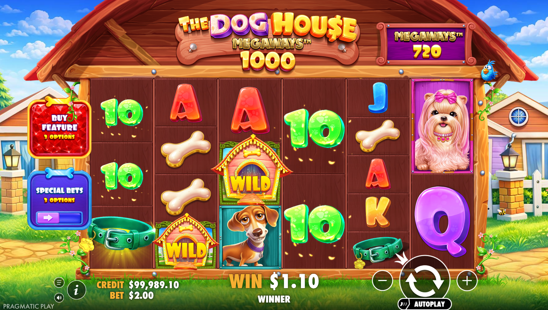 The Dog House Megaways 1000 showing up to 117,649 ways to win