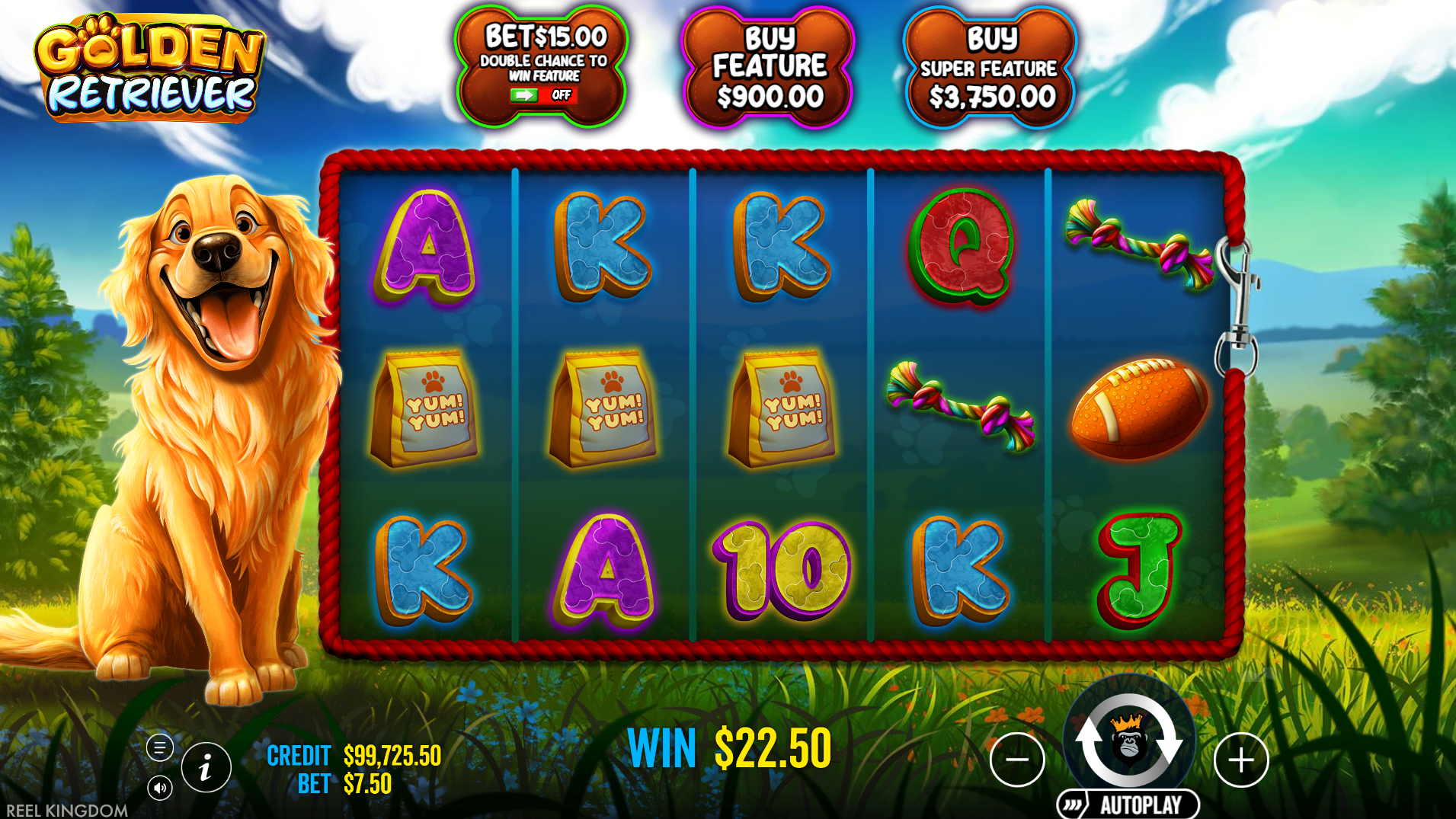 Golden Retriever slot base game - 5x3 grid with coin symbols and golden retriever theme