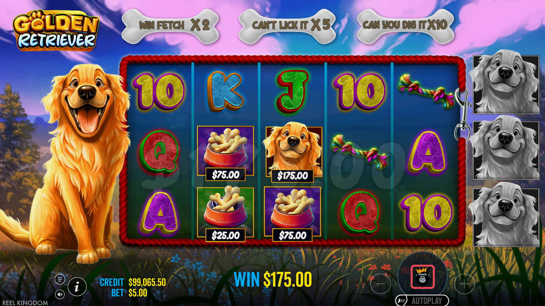 Golden Retriever wild collector symbol collecting coin values during free spins
