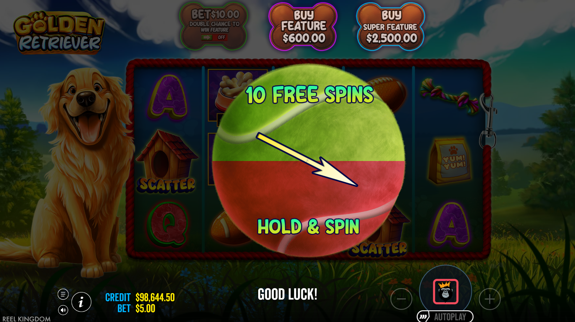 Golden Retriever bonus result screen showing whether Free Spins or Hold and Spin was awarded