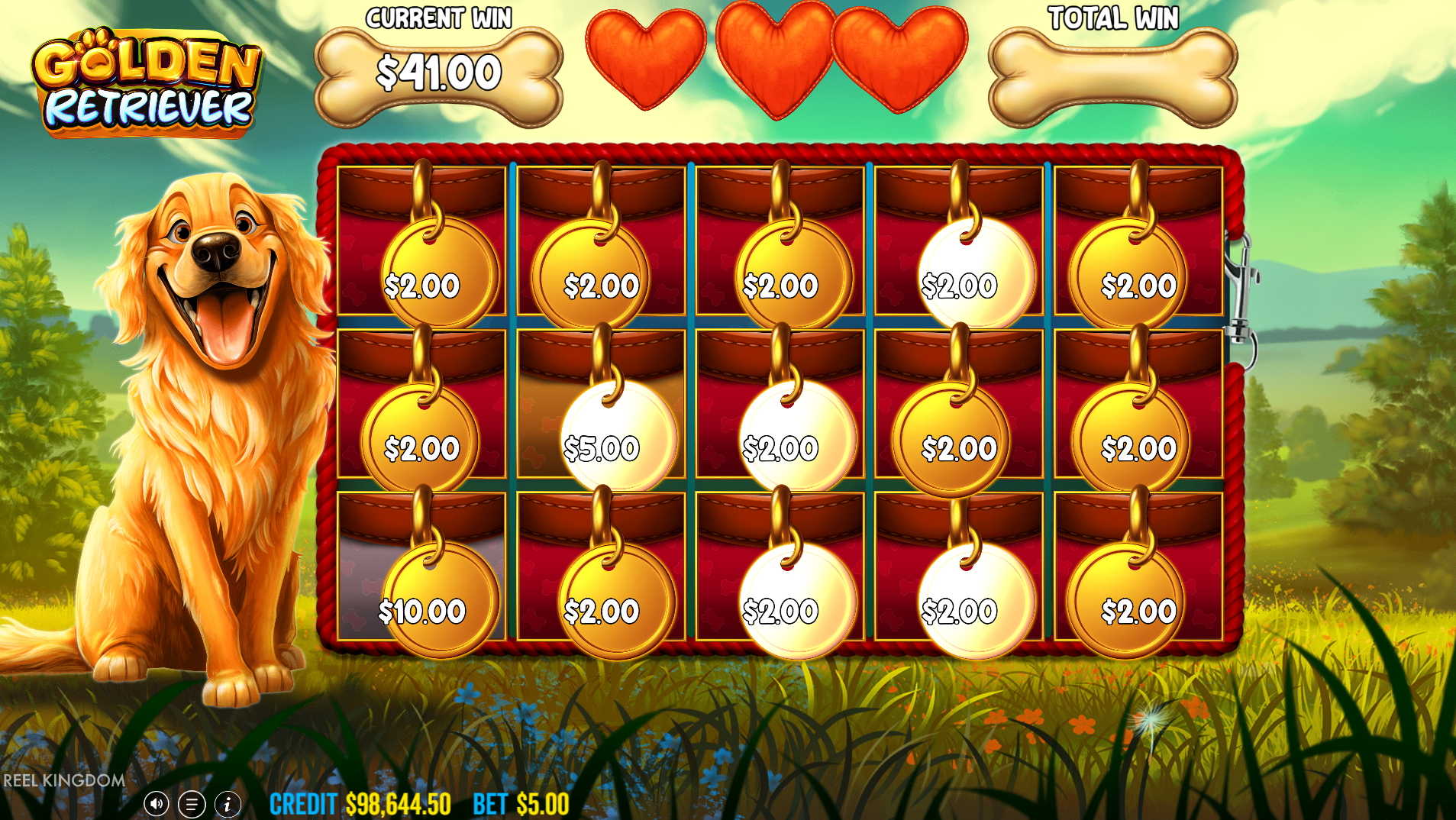 Golden Retriever Hold and Spin feature with coin money symbols and multiplier