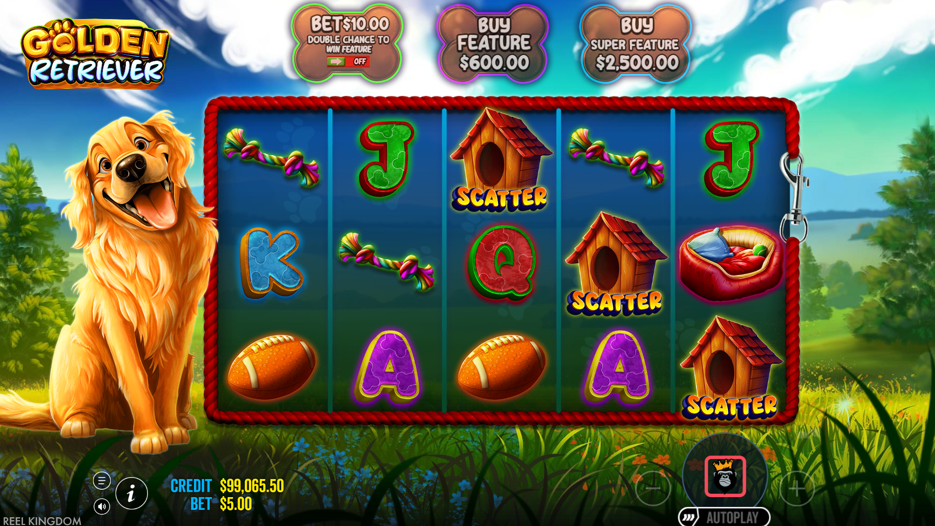 Golden Retriever scatter symbols that trigger the bonus feature