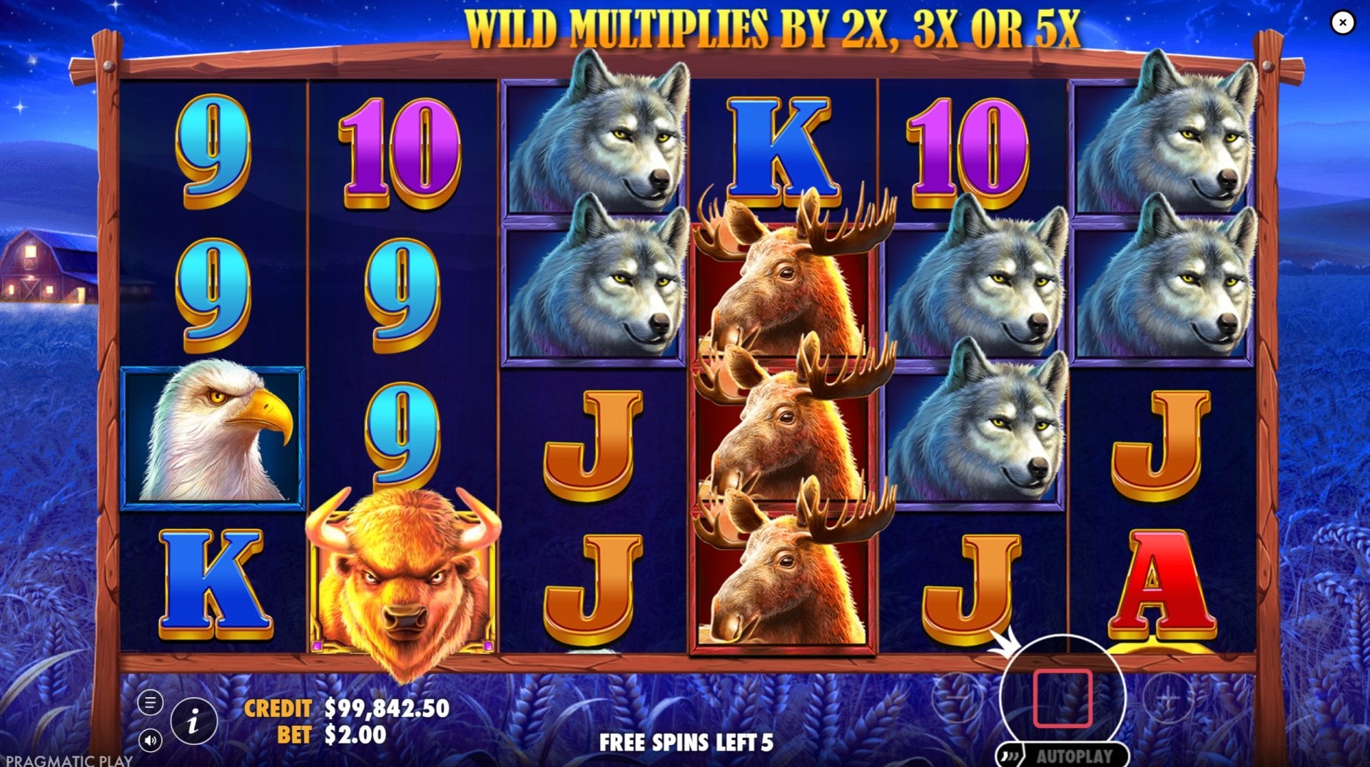 Buffalo King Free Spins