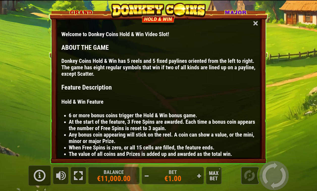Donkey Coins Hold & Win information screen