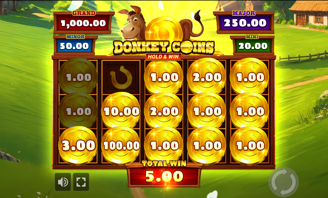 Donkey Coins Hold & Win gameplay