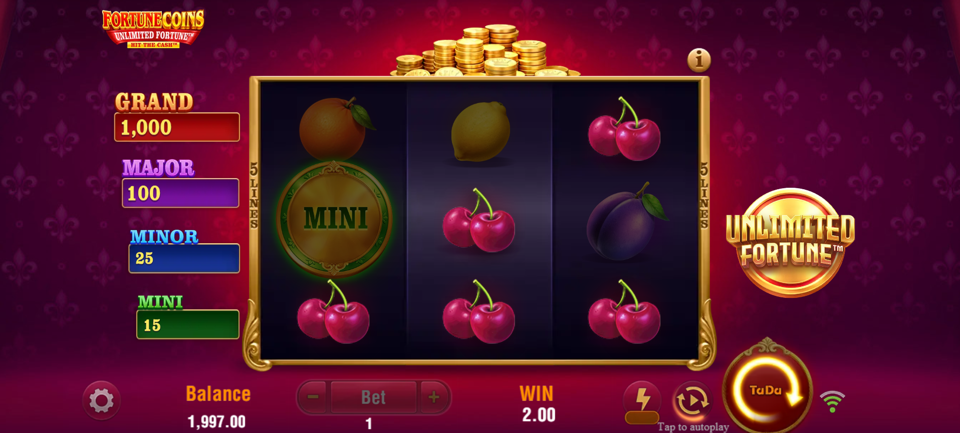 Fortune Coins Unlimited Fortune offers 5 fixed paylines