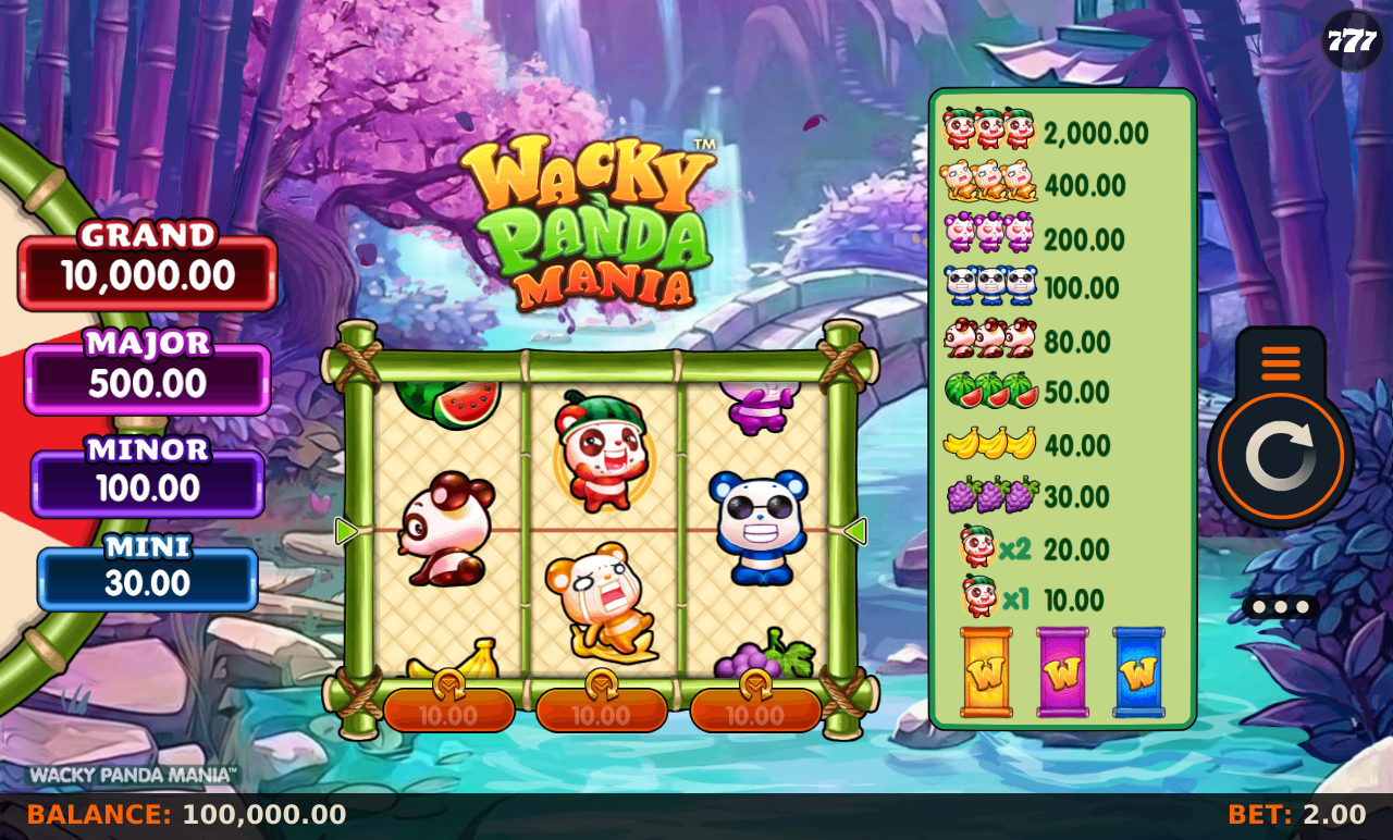 Wacky Panda Mania information screen