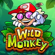Play Wild Monkey Slot Game