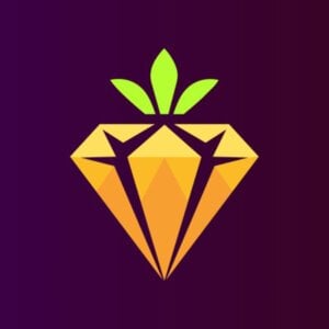 24Karot Logo