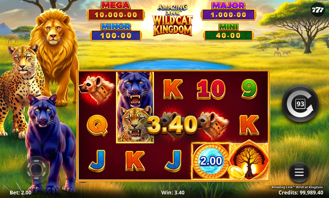 Amazing Link WildCat Kingdom gameplay