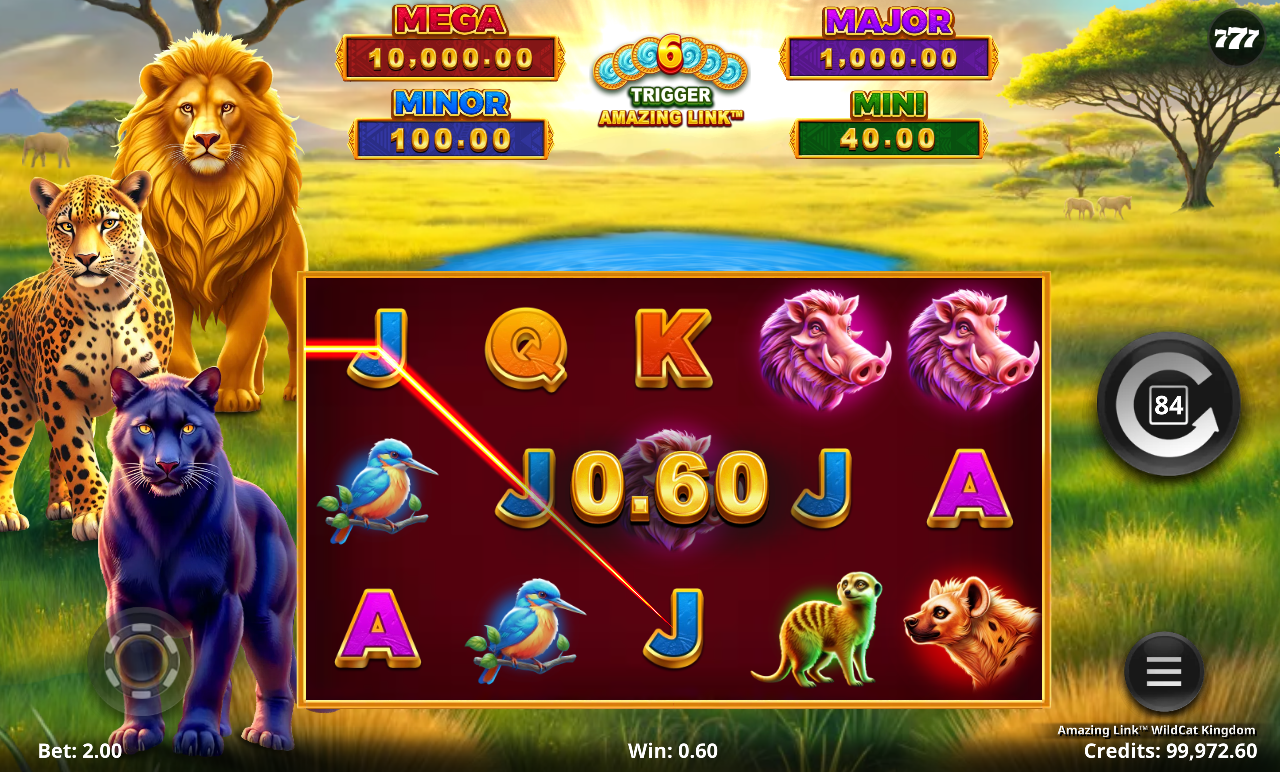 Amazing Link WildCat Kingdom gameplay