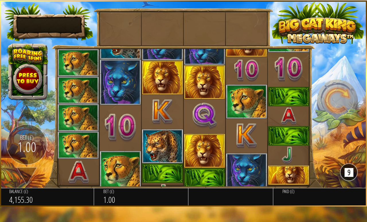Big Cat King Megaways big bet gameplay