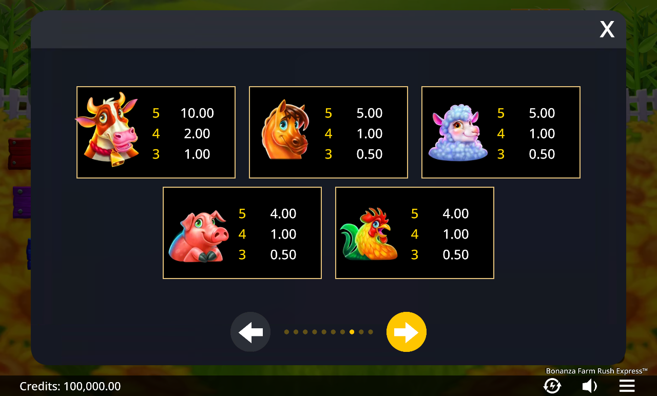 Bonanza Farm Rush Express information screen