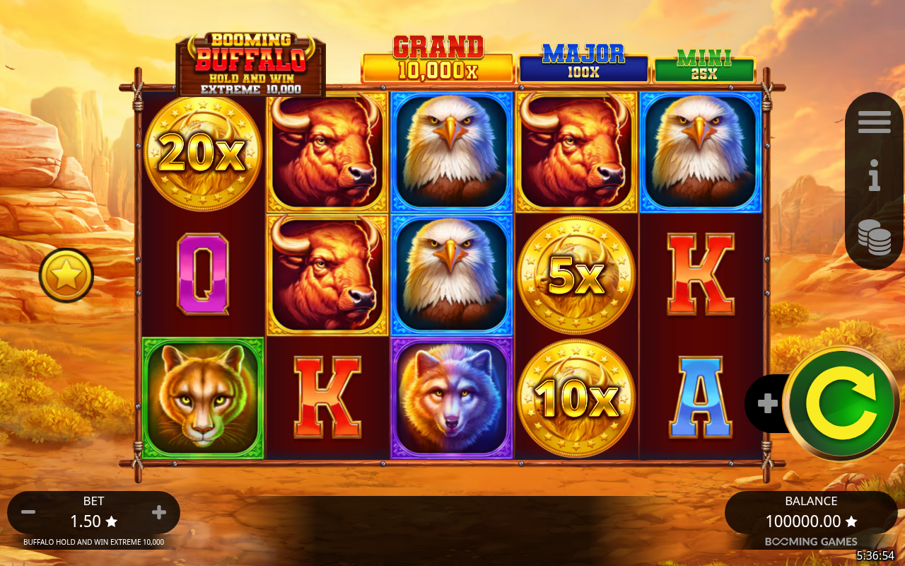 Buffalo Hold and Win Extreme 10,000 base game