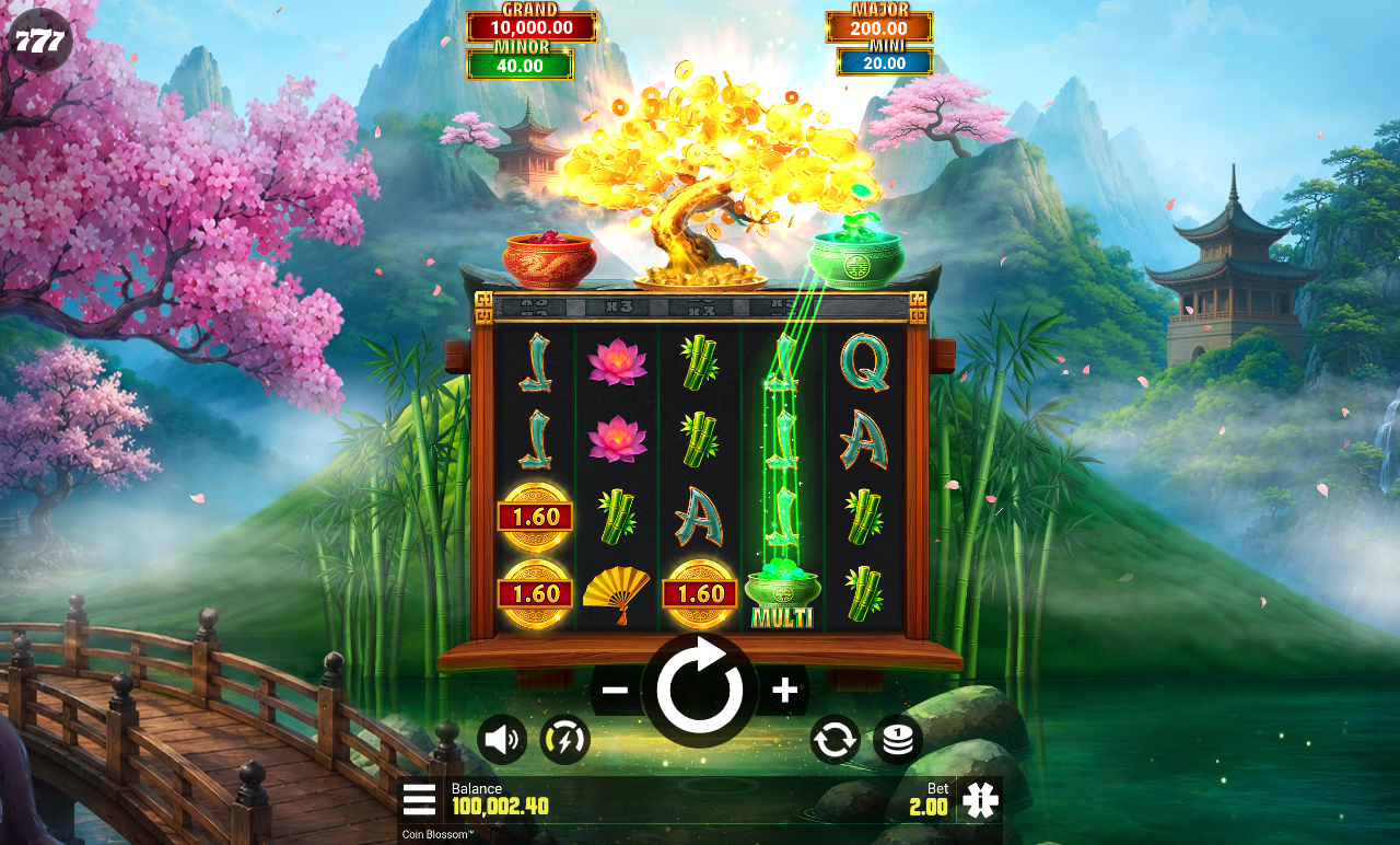 Coin Blossom bonus spins gameplay
