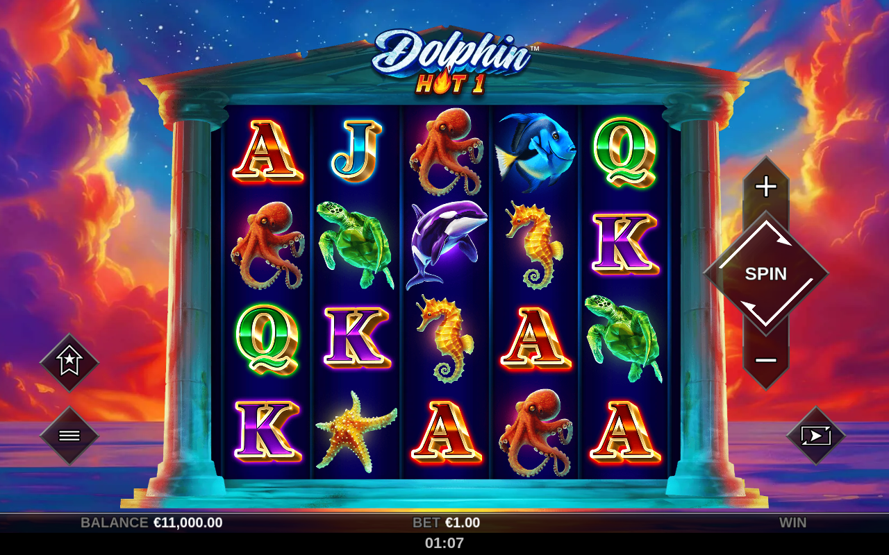 Dolphin Hot 1 base game