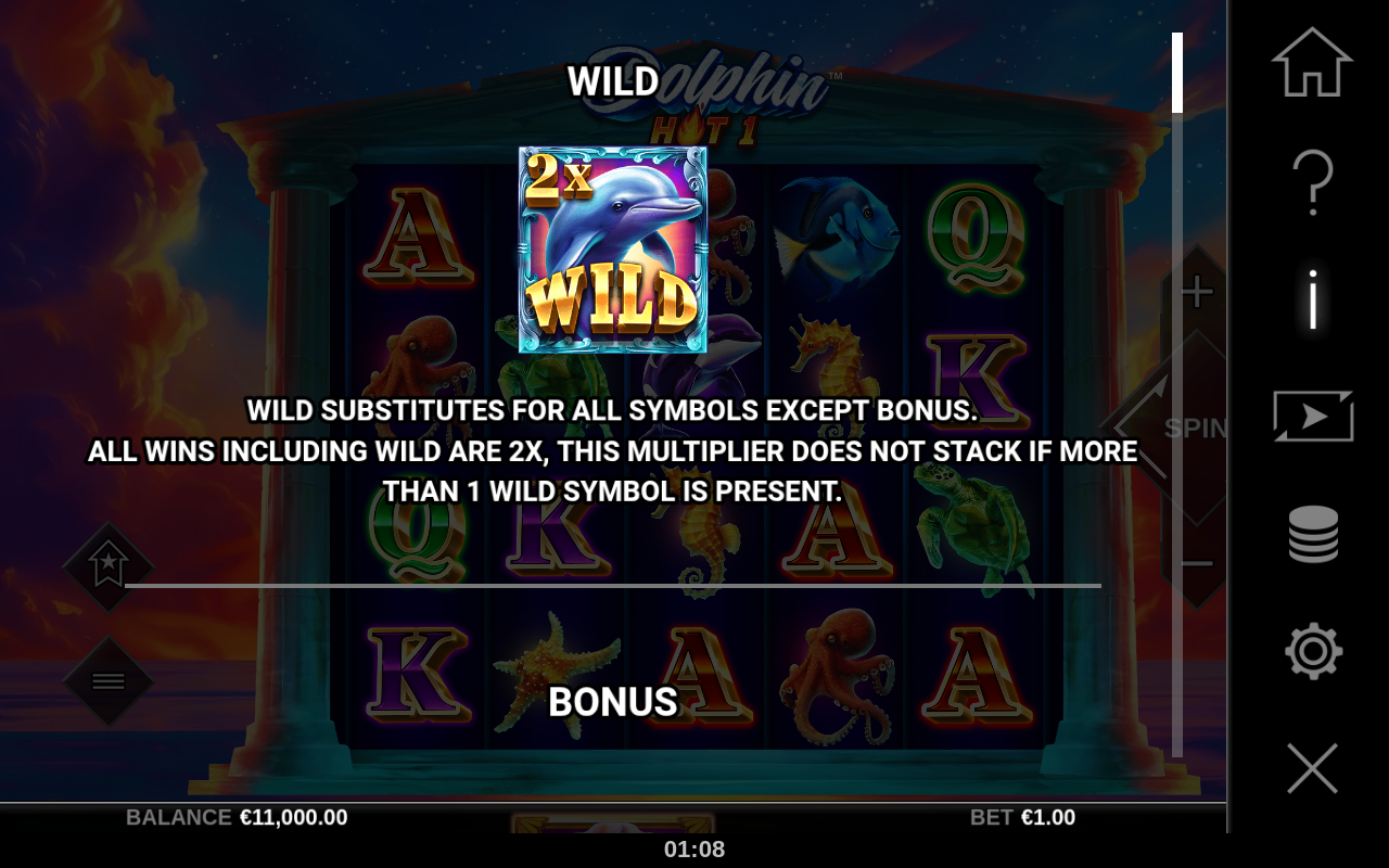 Dolphin Hot 1 wild symbol rules