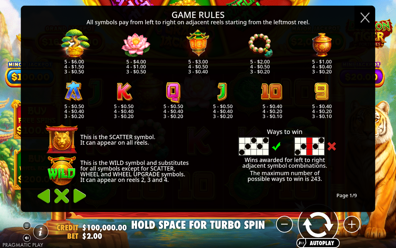 Dragon Tiger Fortunes information screen