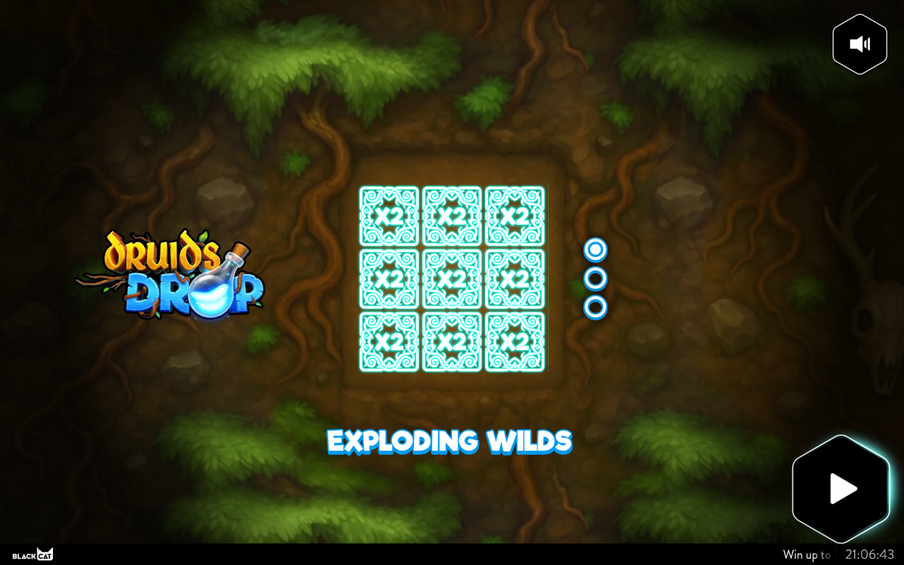 Druid's Drop information screen
