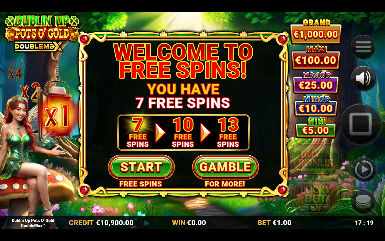 Dublin Up Pots O' Gold DoubleMax bonus round