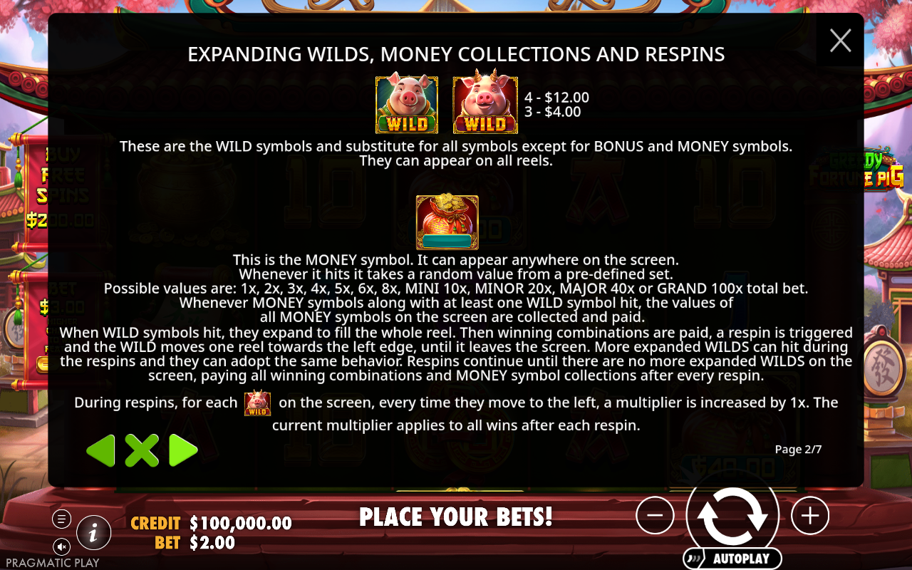Greedy Fortune Pig information screen