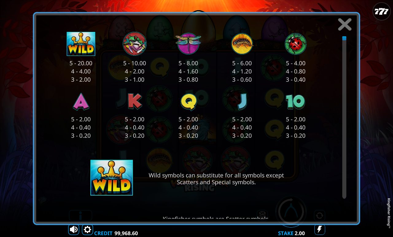 Kingfisher Rising information screen
