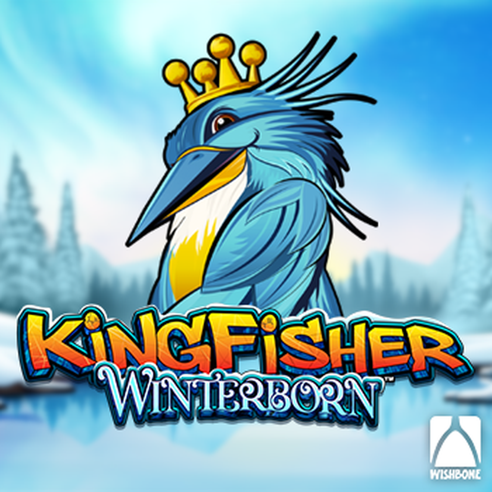 Kingfisher Winterborn slot by Wishbone