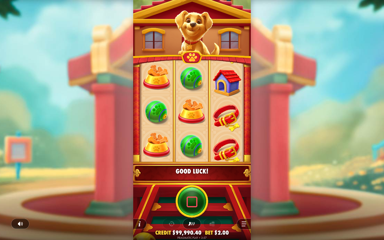 Lucky Dog gameplay