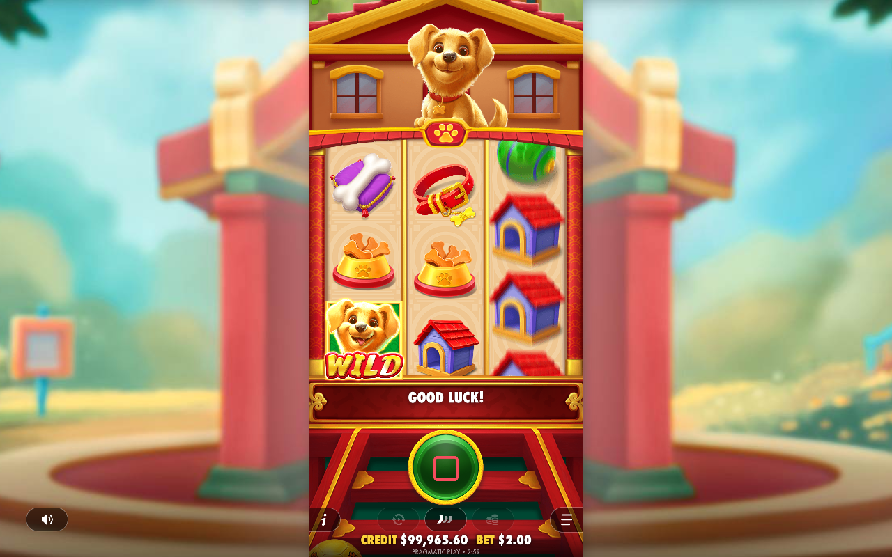 Lucky Dog gameplay