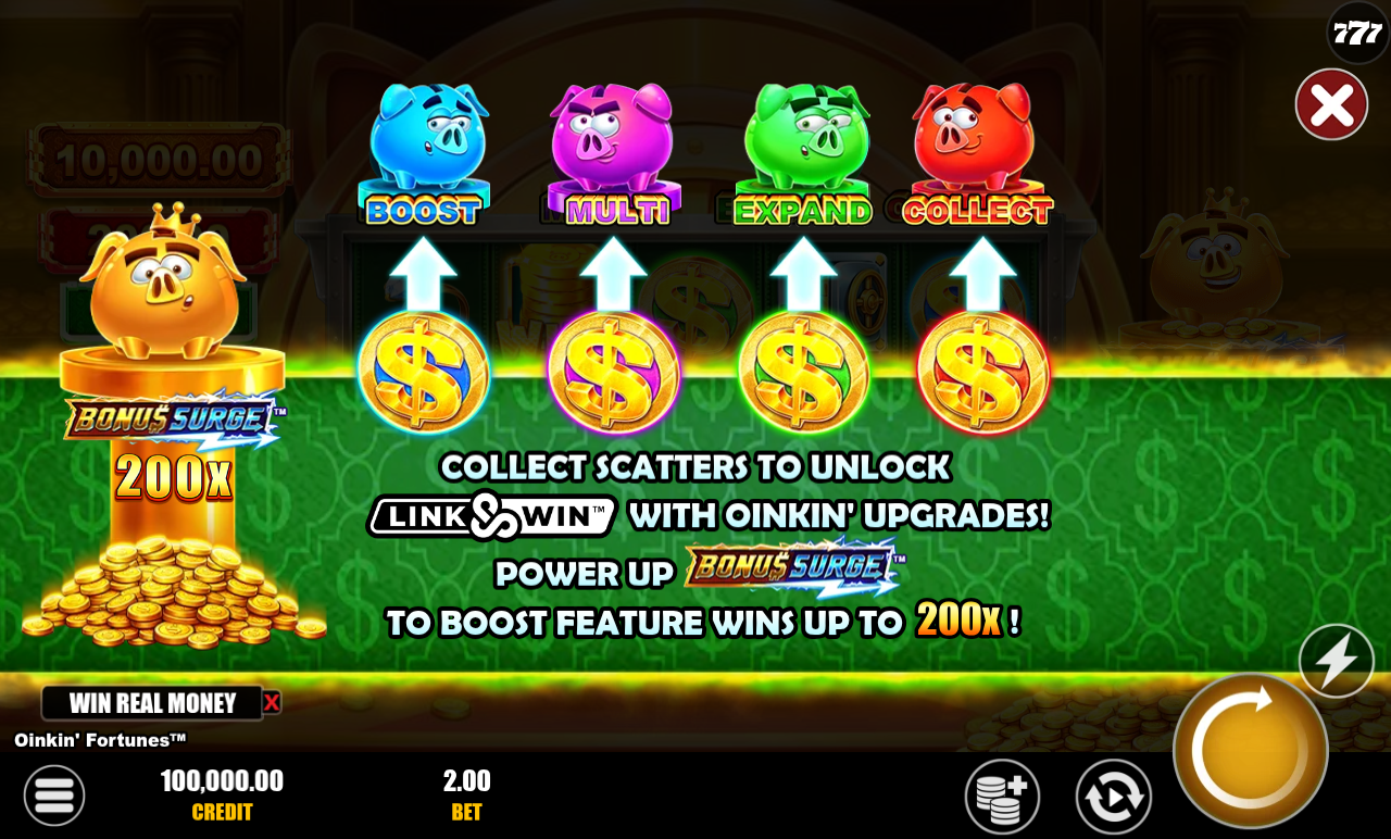 Oinkin' Fortunes information screen