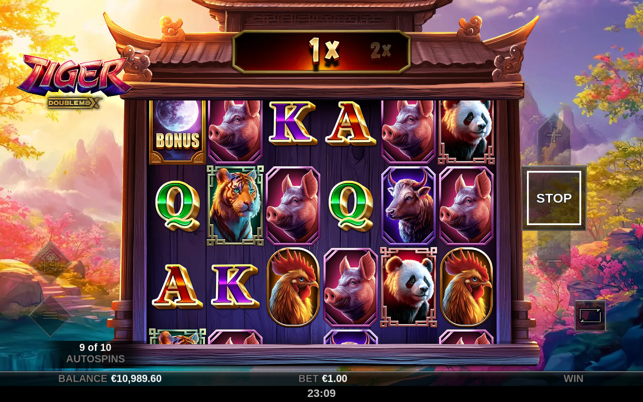Tiger DoubleMax gameplay