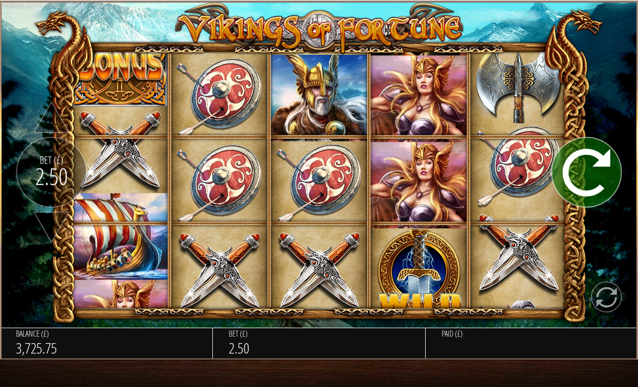 Vikings Of Fortune gameplay