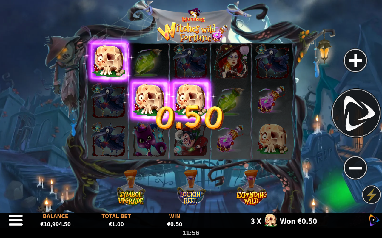 Witches Wild Fortune base game