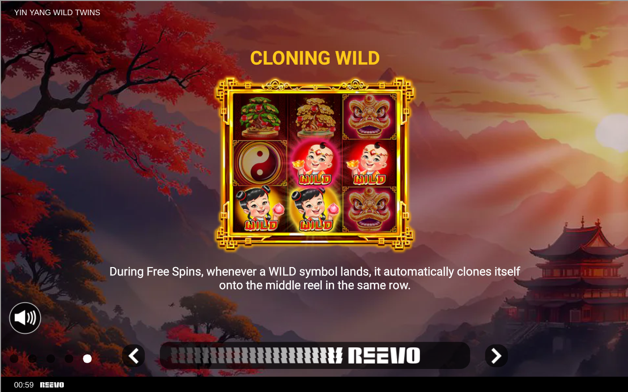 Yin Yang Wild Twins information screen