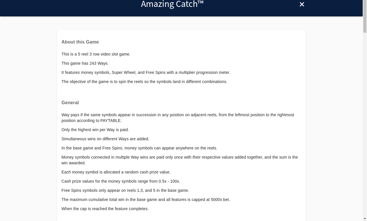 Amazing Catch information screen