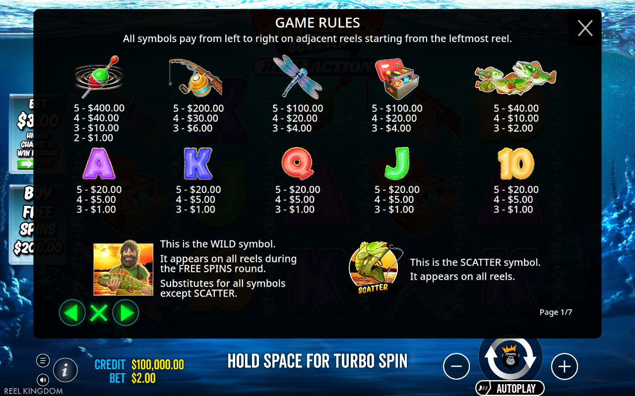 Big Bass Bonanza: Reel Action information screen