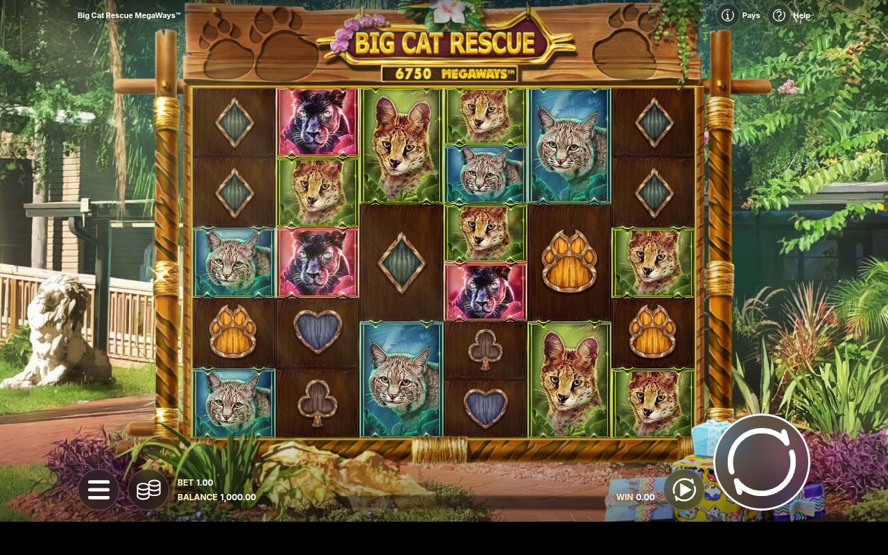 Big Cat Rescue Megaways base game