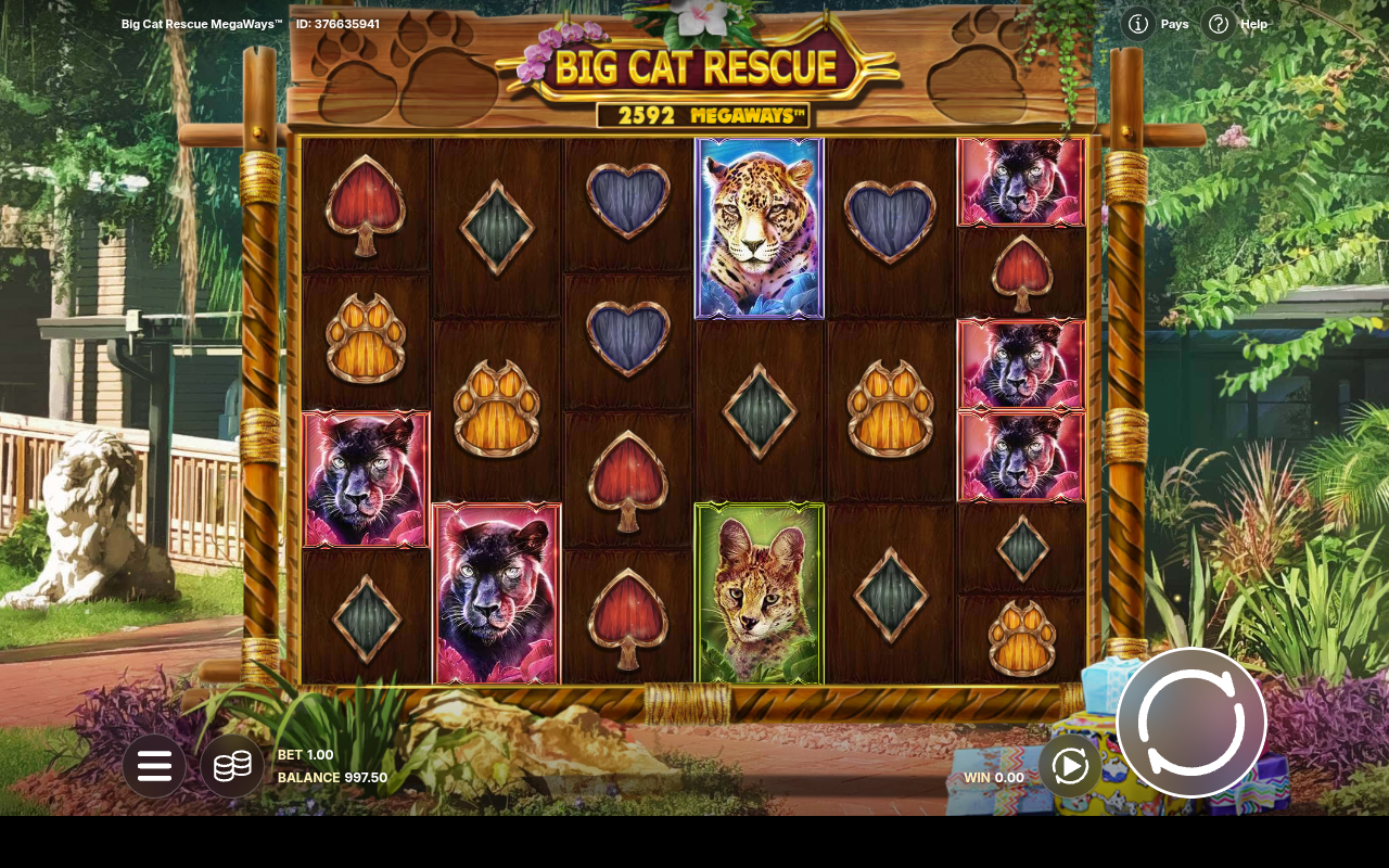 Big Cat Rescue Megaways gameplay