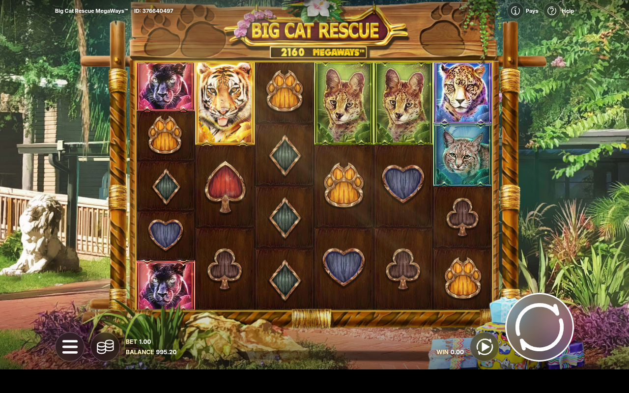 Big Cat Rescue Megaways gameplay