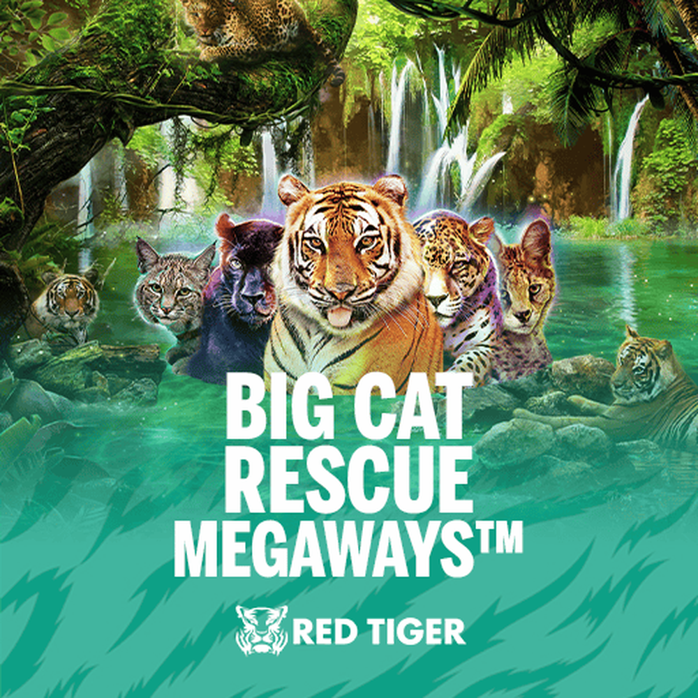 Play Big Cat Rescue Megaways Slot Game