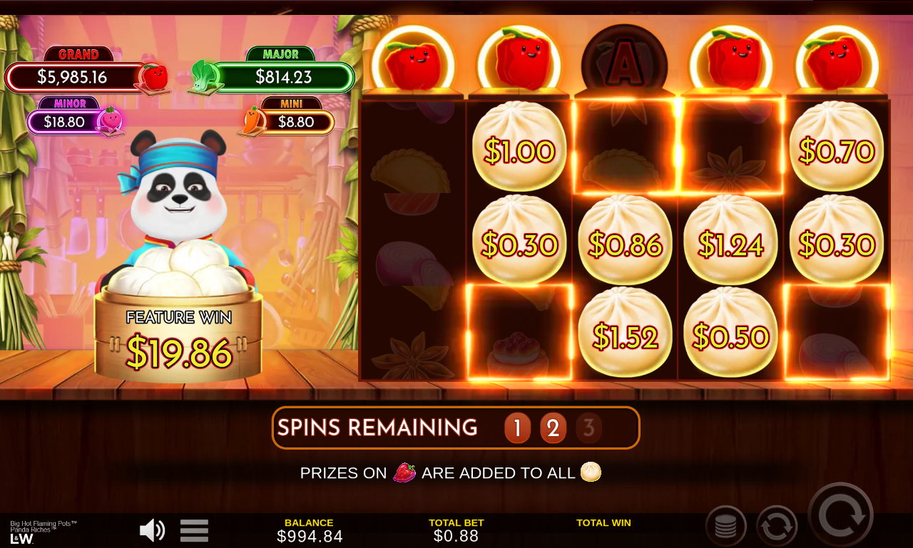 Big Hot Flaming Pots Panda Riches gameplay