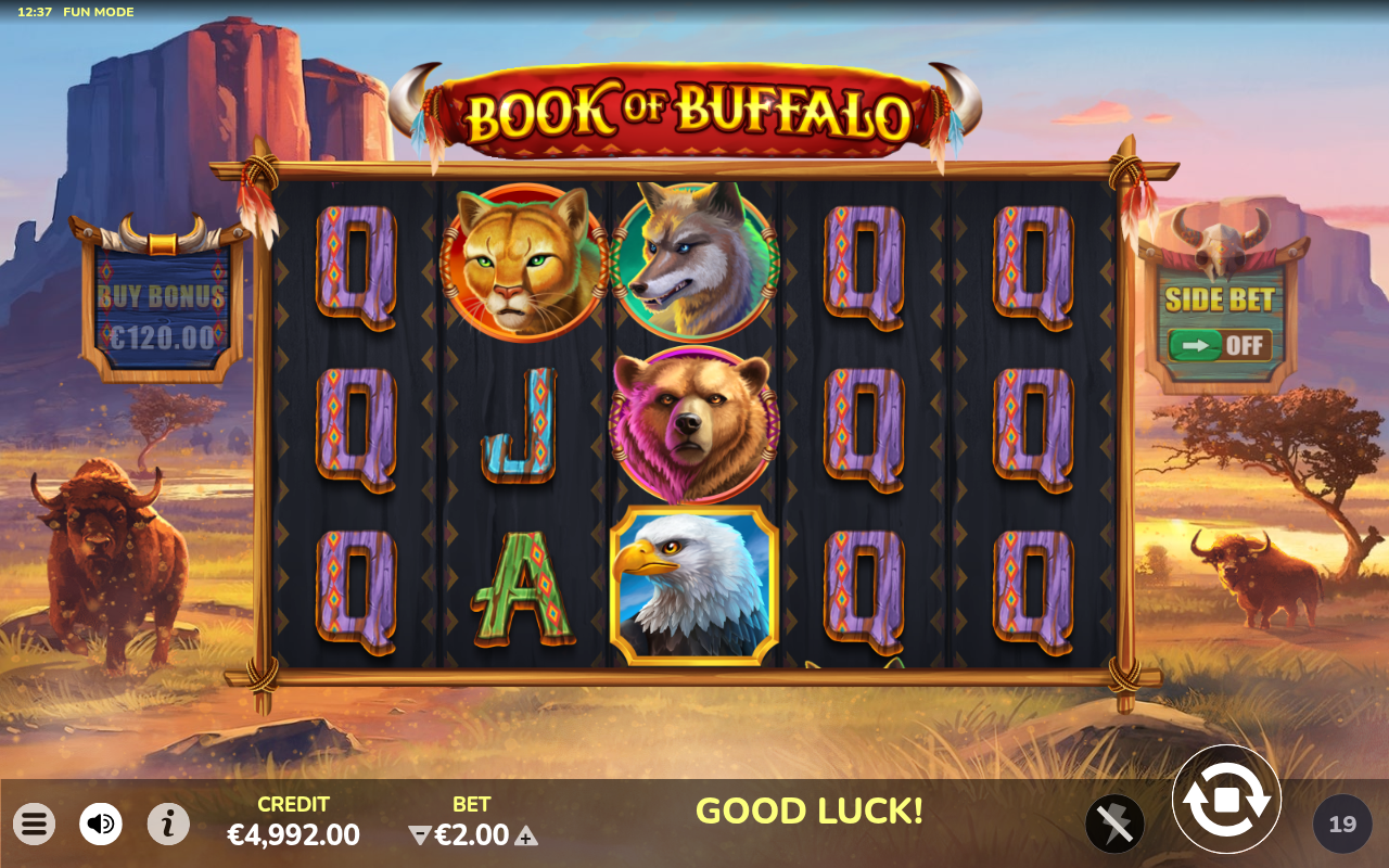 Book of Buffalo gameplay