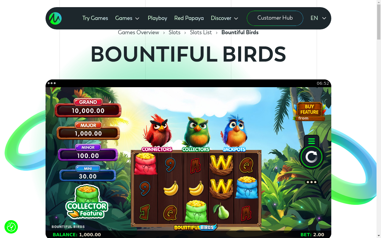 Bountiful Birds base game