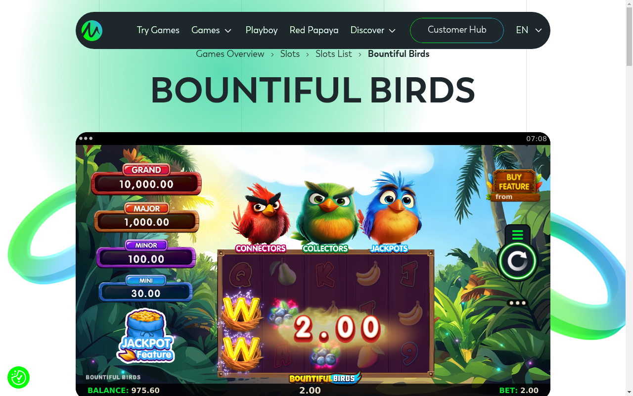 Bountiful Birds gameplay showing a win on the reels