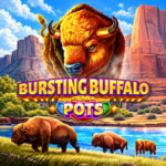 Bursting Buffalo Pots