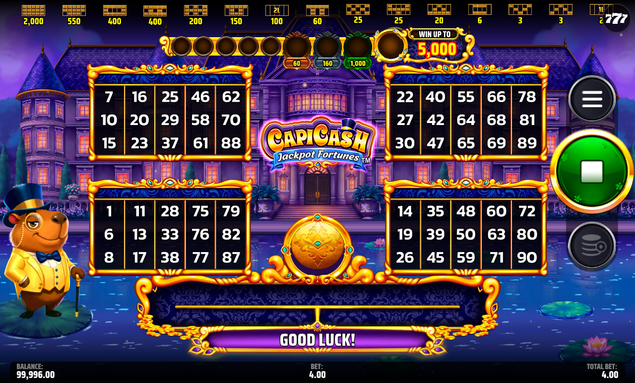 Capi Cash Jackpot Fortunes gameplay