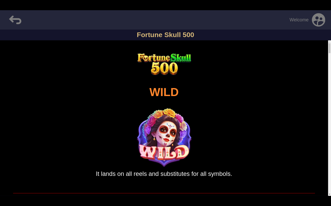 Fortune Skull 500 information screen