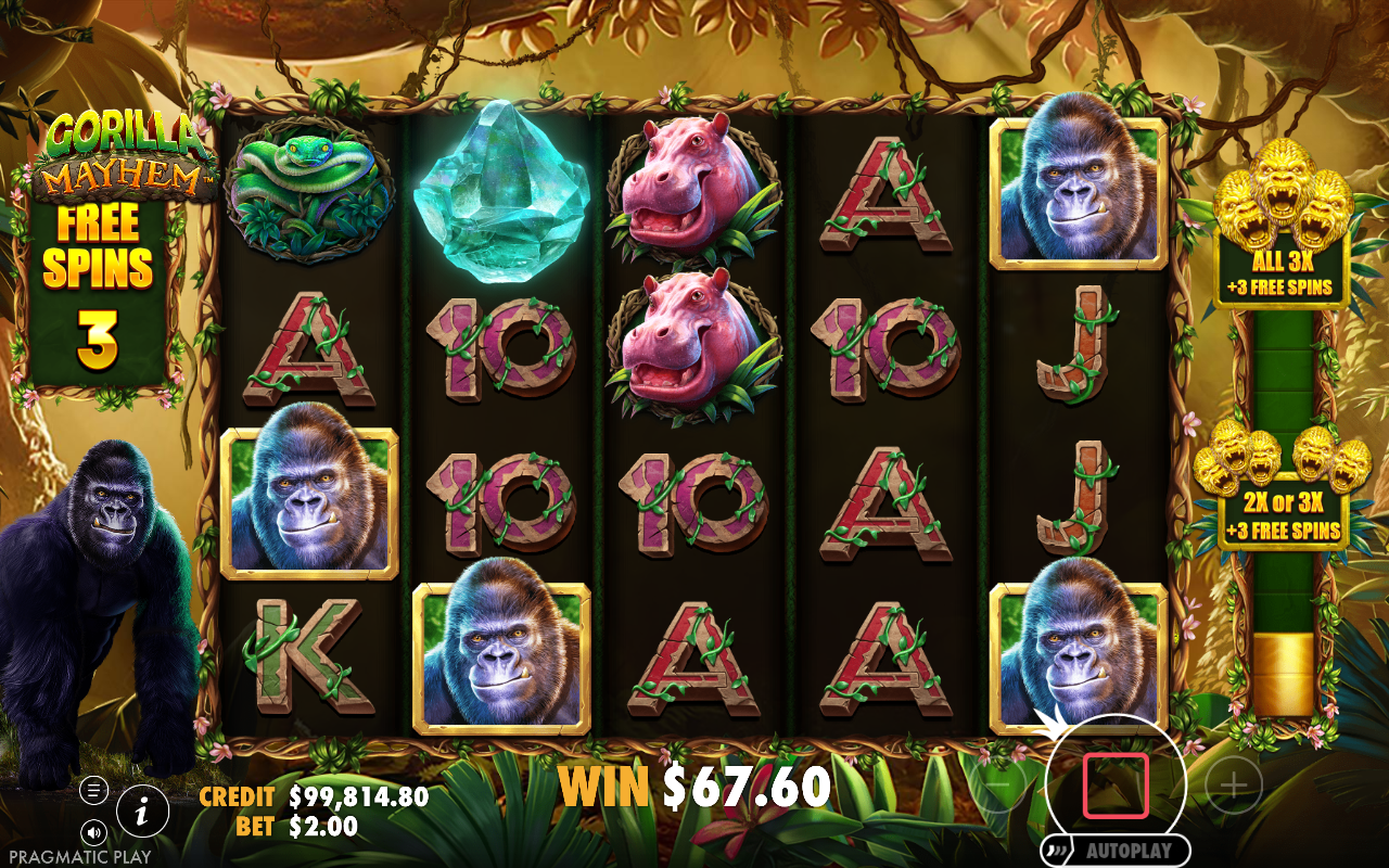 Gorilla Mayhem bonus round