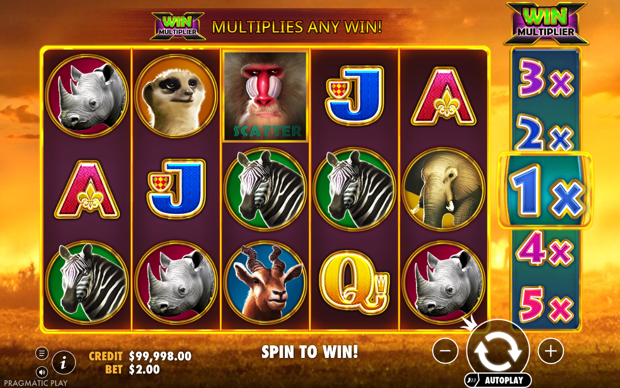 Hot Safari win multiplier ladder in play