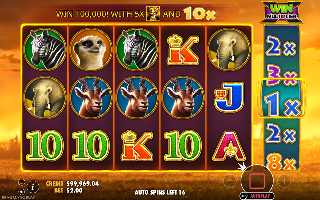 Hot Safari free spins gameplay